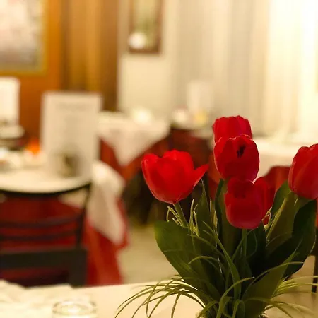 Hotel Sanmicheli 2*