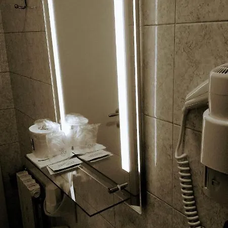 Sanmicheli Hotel 2*