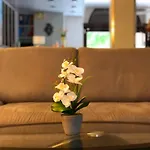 Sanmicheli فيرونا