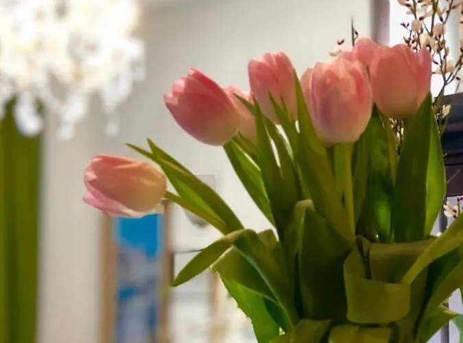 Sanmicheli מלון 2*