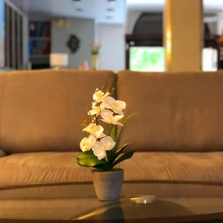 Sanmicheli Верона