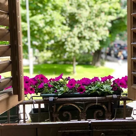 Отель Sanmicheli